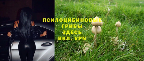 спайс Протвино