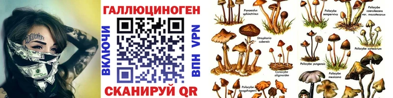 Псилоцибиновые грибы ЛСД  Тотьма 